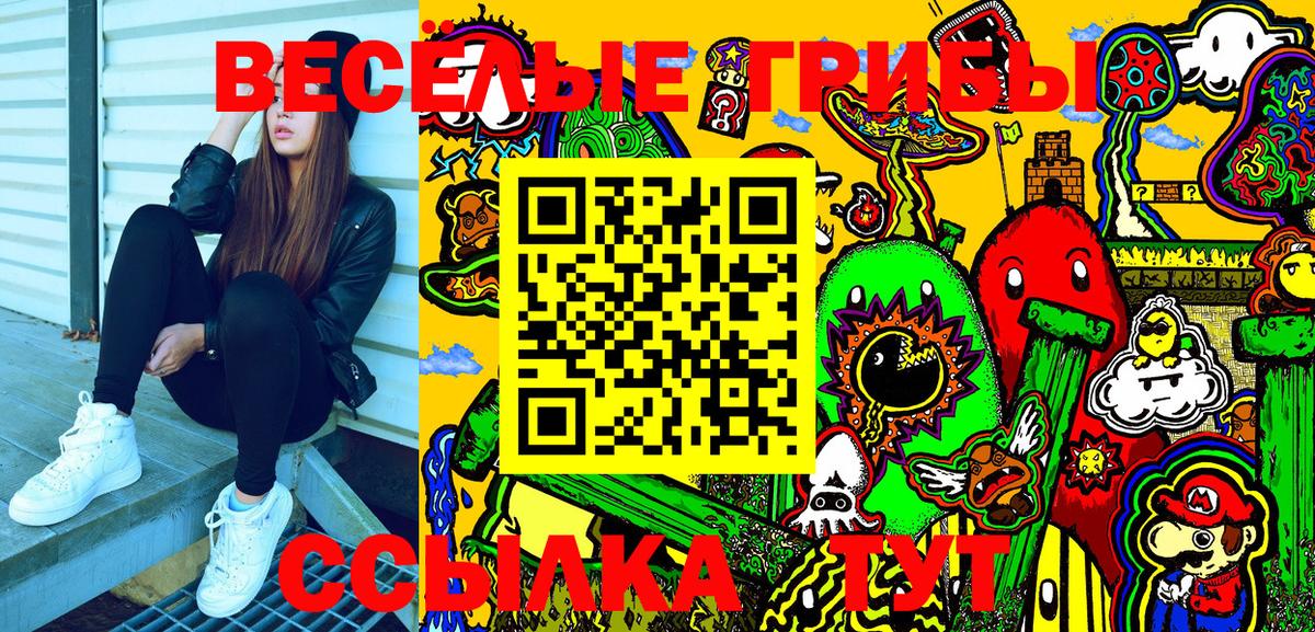 Тайшет  Галлюциногенные грибы Magic Shrooms  Вход с VPN 
